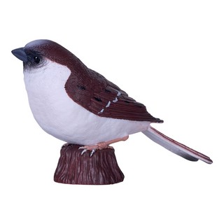 Воробей домашний, KONIK 4