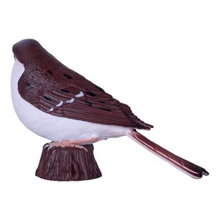 Воробей домашний, KONIK 5