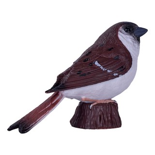 Воробей домашний, KONIK 6