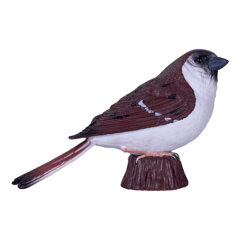 Воробей домашний, KONIK