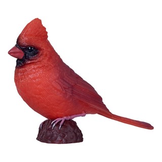 Кардинал красный, KONIK 5