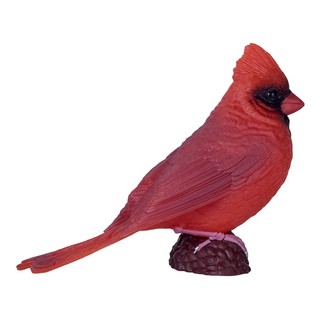 Кардинал красный, KONIK