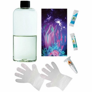 Набор для опытов 'Космические водоросли' 2