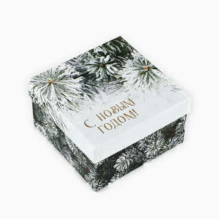 Коробка квадратная 'С Новым Годом' 14х14х8 см