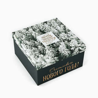 Коробка квадратная 'С Новым Годом' 22x22x12 см