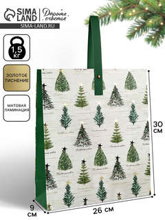 Пакет ламинированный «Новогодняя звезда», 30x26x9 см 2