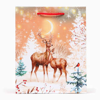 Пакет новогодний «Олени», 18x22.3x10 см