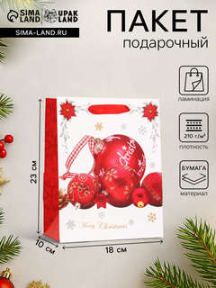 Пакет ламинированный «Игрушки» 18x23x10 см 2