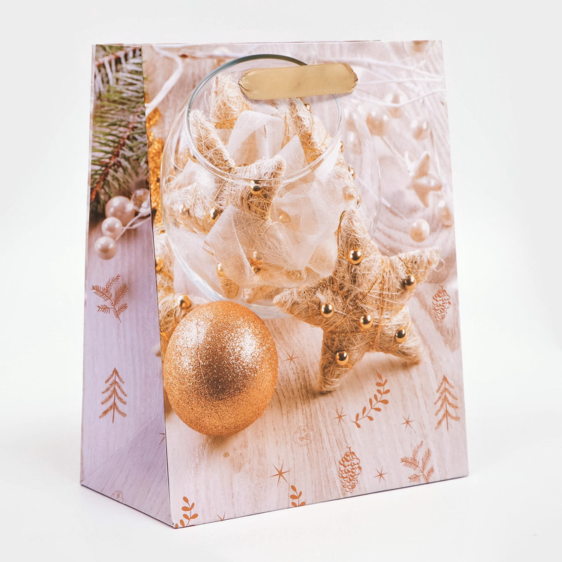 Пакет ламинированный «Золото»,18x23x10 см