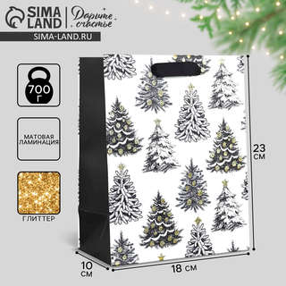 Пакет ламинированный «Зимняя сказка», 23x18x10 см 2