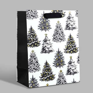 Пакет ламинированный «Зимняя сказка», 23x18x10 см