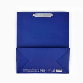 Пакет новогодний ламинированный «С Новым годом», глиттер, 23x27x11.5 см 6