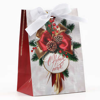 Пакет новогодний с лентой «Новый год», 13x19x9 см