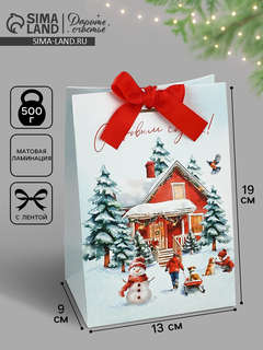 Пакет новогодний с лентой «С Новым годом», 13x19x9 см 2