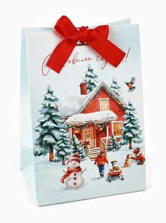 Пакет новогодний с лентой «С Новым годом», 13x19x9 см