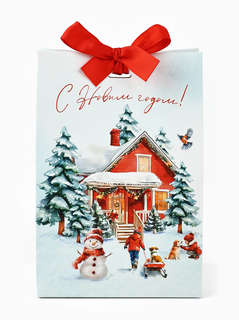 Пакет новогодний с лентой «С Новым годом», 13x19x9 см 3