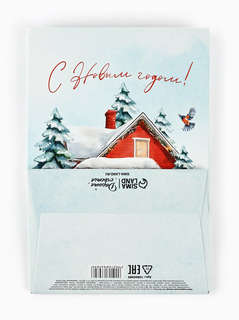 Пакет новогодний с лентой «С Новым годом», 13x19x9 см 6