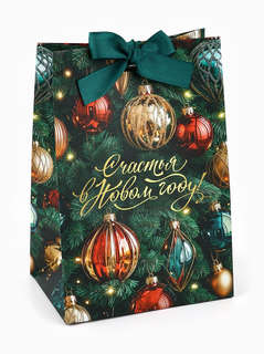Пакет подарочный с лентой «Счастья в Новом году», 13x19x9 см