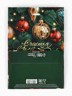 Пакет подарочный с лентой «Счастья в Новом году», 13x19x9 см 6