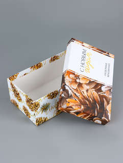 Коробка прямоугольная «Новогодние мечты», 22х13.5х7.5 см