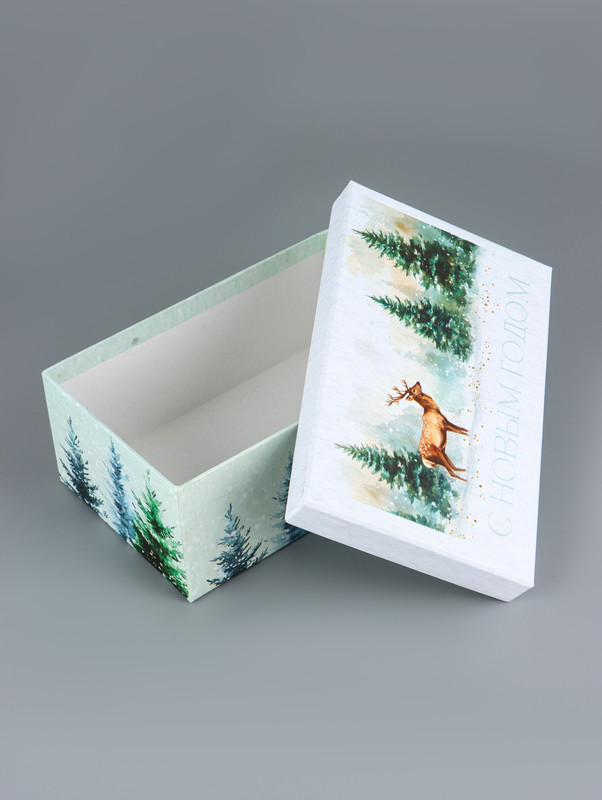 Коробка прямоугольная «Новогодние мечты», 24х15х8.5 см