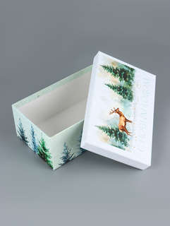 Коробка прямоугольная «Новогодние мечты», 24х15х8.5 см