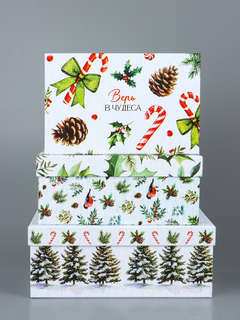 Коробка прямоугольная «Новогодние мечты», 26х16.5х9 см 2