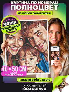 Картина по номерам на холсте по фотографии, 40х50 см, QBRIX 2