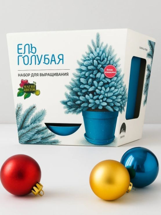 Набор д/выращивания растений 'Магия цветов: Ель голубая'