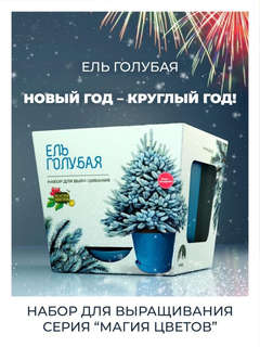 Набор д/выращивания растений 'Магия цветов: Ель голубая' 2