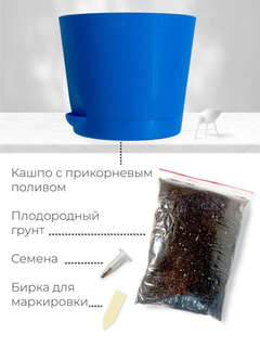 Набор д/выращивания растений 'Магия цветов: Ель голубая' 4