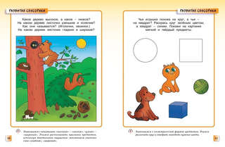 Развивающие тесты для детей 2-3 года: Умные книжки 7