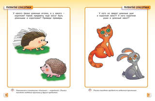 Развивающие тесты для детей 2-3 года: Умные книжки 5