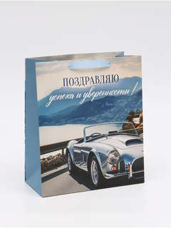 Пакет подарочный ламинированный «Поздравляю», 23 x 27 x 11,5 см