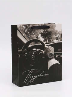 Пакет подарочный ламинированный «Поздравляю», 25,5 x 30 x 9 см