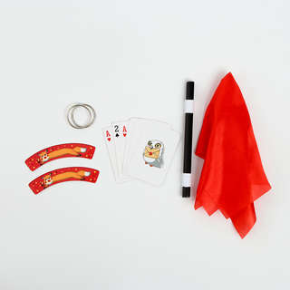 Набор волшебника: Факультет храбрых (6 фокусов, инструкция в комплекте) 3