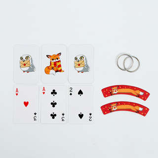 Набор волшебника: Факультет храбрых (6 фокусов, инструкция в комплекте) 5