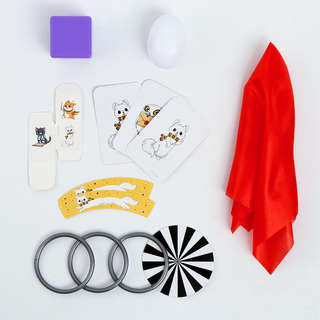 Набор волшебника: Факультет Дружных (6 фокусов, инструкция в комплекте) 3