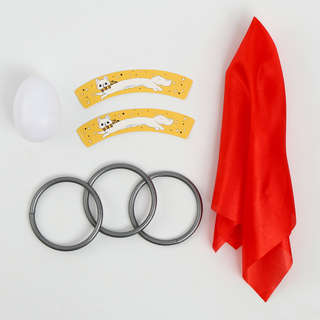 Набор волшебника: Факультет Дружных (6 фокусов, инструкция в комплекте) 4