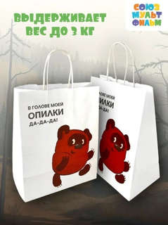 Пакет подарочный «Винни-Пух: Не беда», 24х30х14 см 5