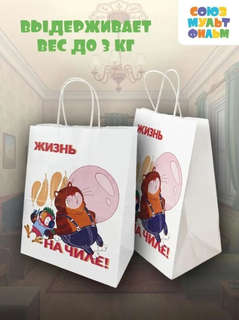 Пакет подарочный «Попугай Кеша. На чиле», 24х14х30 см 3