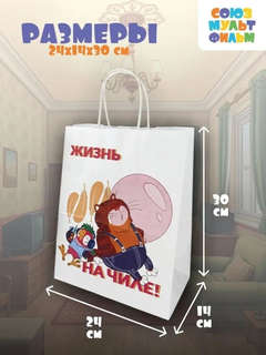 Пакет подарочный «Попугай Кеша. На чиле», 24х14х30 см 5
