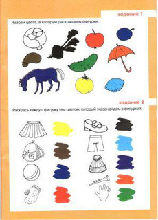 И цвет, и форма, и размер 3