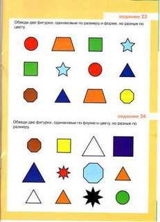 И цвет, и форма, и размер 4