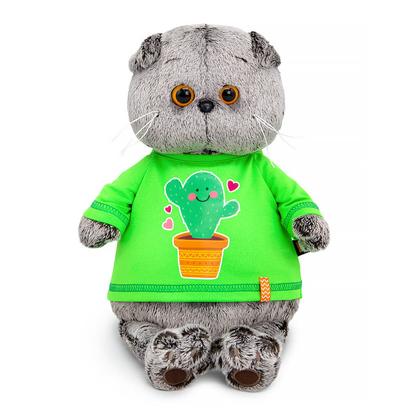 Кот Басик в лонгсливе с кактусом Ks22-300