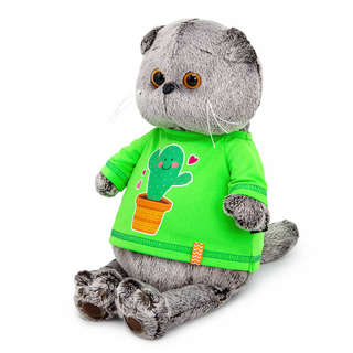 Кот Басик в лонгсливе с кактусом Ks22-300 2
