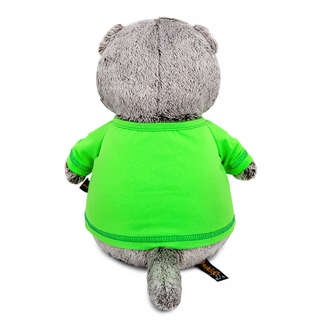 Кот Басик в лонгсливе с кактусом Ks22-300 3