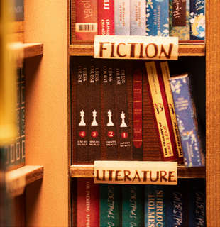 Румбокс Книжный магазин, с подсветкой, Rolife TG807 9