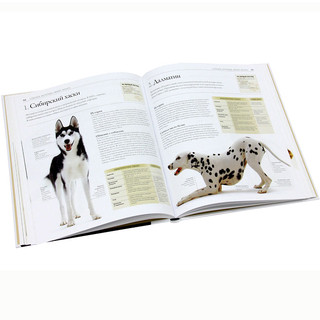 Все породы собак. Выбрать, понять, воспитать 4