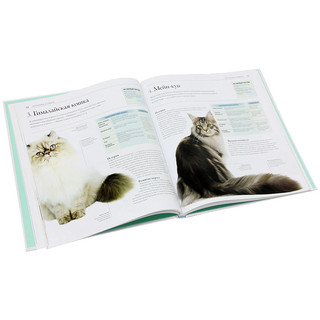 Все породы кошек 3